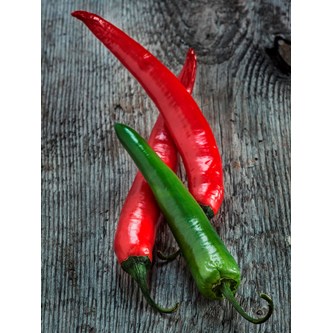 Väggabsorbent Chili 90x120 cm