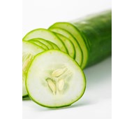 Väggabsorbent Gurka 90x120 cm