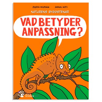 Vad betyder anpassning?