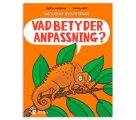 Vad betyder anpassning?