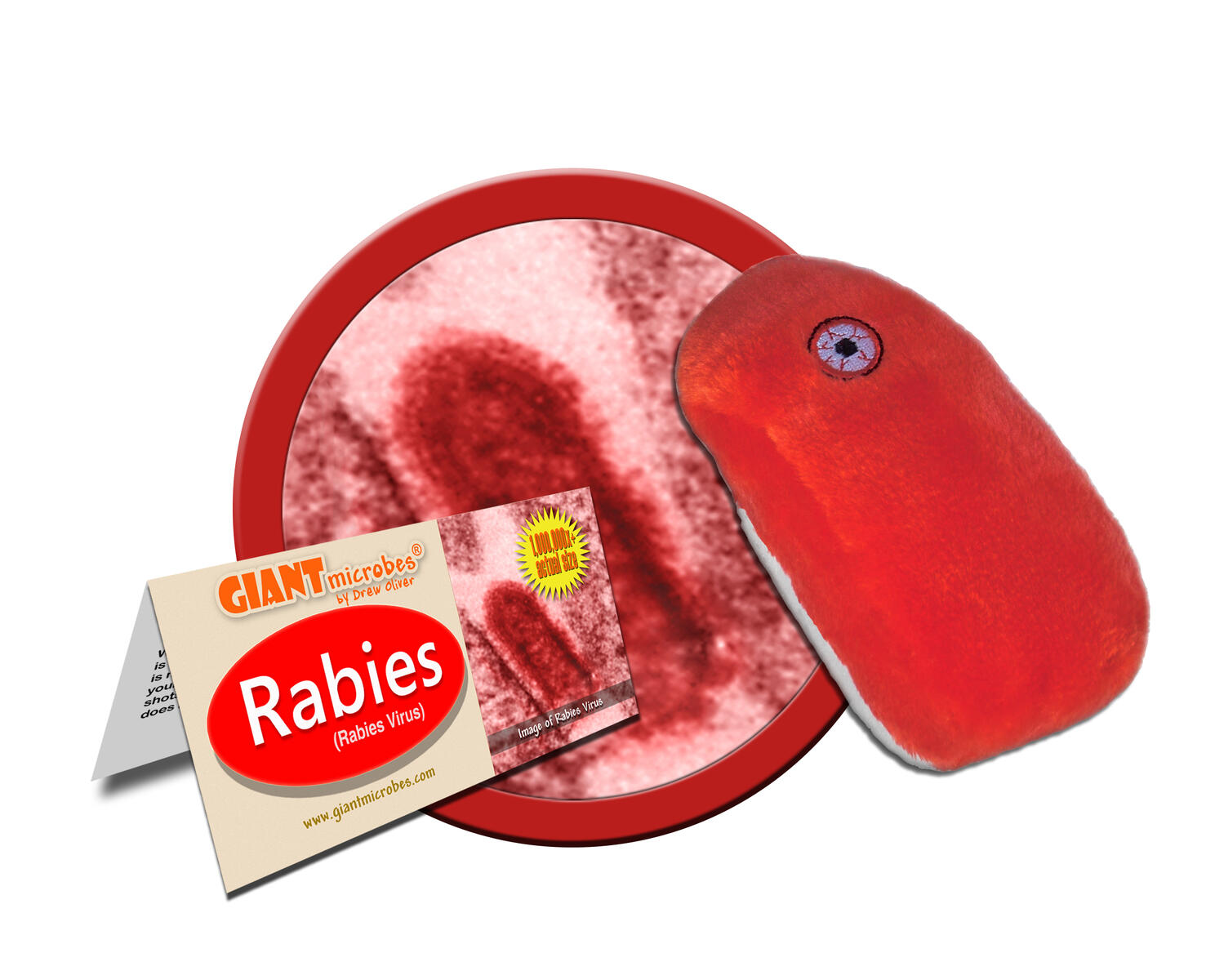 Rabies Lekolar