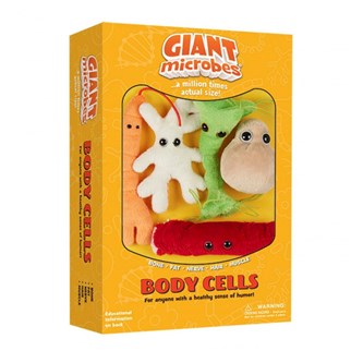 Body Cells Box
