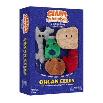 Organ Cells Box