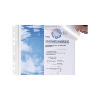 Bälgplastficka med lock, 10-pack