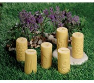 Pedagogiskt material Sagorullar – I trädgården 123409