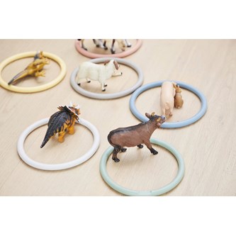 GONGE® Aktivitetsringar Nordic 6-pack