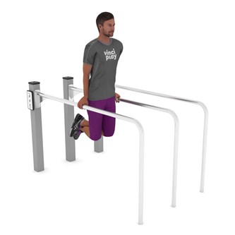 Workout double Dip stand
