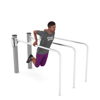 Workout double Dip stand
