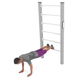 Workout Wall bars