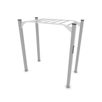 Workout Monkey bars
