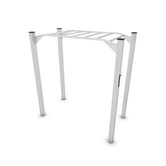 Workout Monkey bars