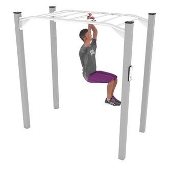 Workout Monkey bars