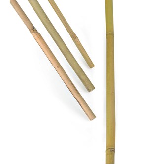 Bambupinnar storpack