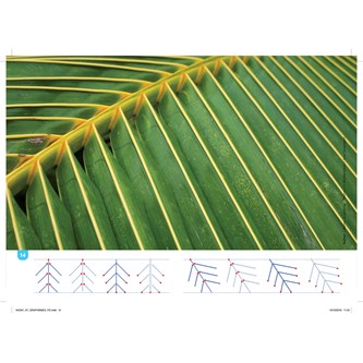 Förberedande skrivning, aktivitetspaket