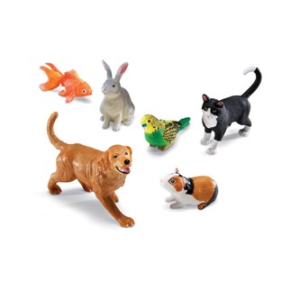 Stora husdjur 6-pack