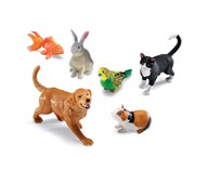 Stora husdjur 6-pack