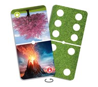 Domino Naturens under