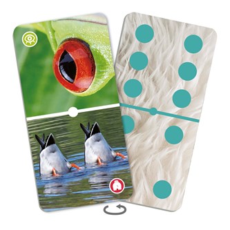 Domino Närbilder på djur