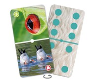 Domino Närbilder på djur