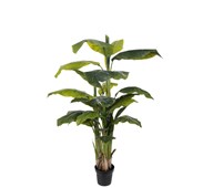 Konstväxt Banan H150 cm (2-pack)