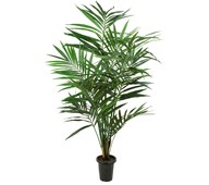 Konstväxt Kentia Palm H180 (2-pack)