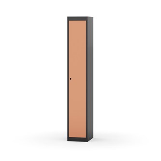 Skolskåp Novis plant tak 1:1 B30