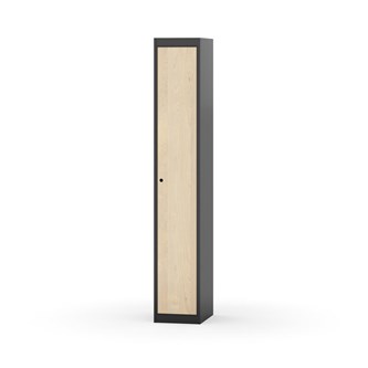 Skolskåp Novis plant tak 1:1 B30