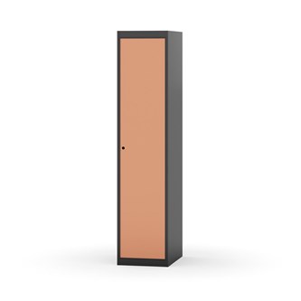 Skolskåp Novis plant tak 1:1 B40