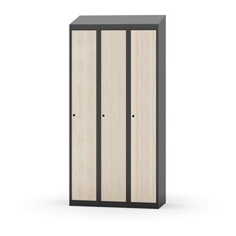 Skolskåp Novis sluttande tak 1:3 B90