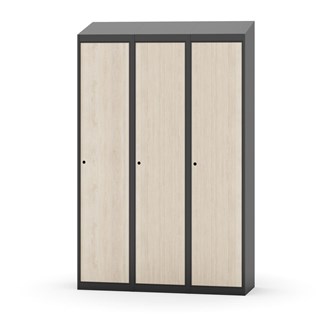 Skolskåp Novis sluttande tak 1:3 B120