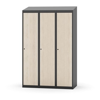 Skolskåp Novis sluttande tak 1:3 B120