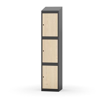 Skolskåp Novis sluttande tak 3:1 B40