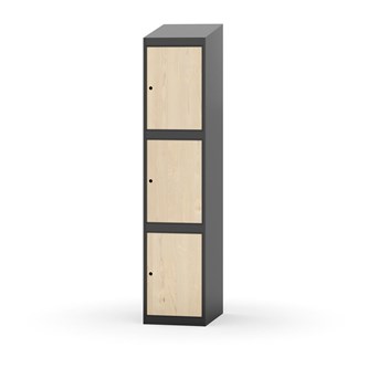 Skolskåp Novis sluttande tak 3:1 B40