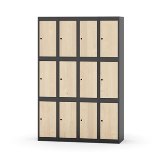 Boxskåp Novis plant tak 3:4 B120