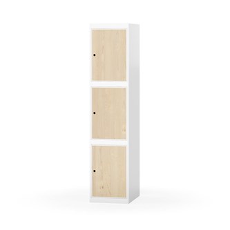 Boxskåp Novis plant tak 3:1 B40