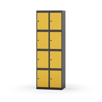 Boxskåp Novis plant tak 4:2 B60