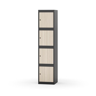 Boxskåp Novis plant tak 4:1 B40