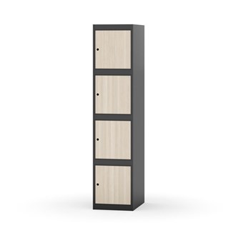 Boxskåp Novis plant tak 4:1 B40