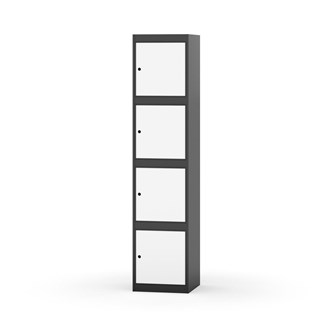 Boxskåp Novis plant tak 4:1 B40