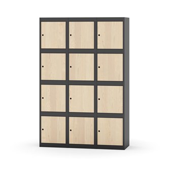 Boxskåp Novis plant tak 4:3 B120