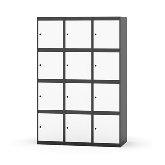 Boxskåp Novis plant tak 4:3 B120