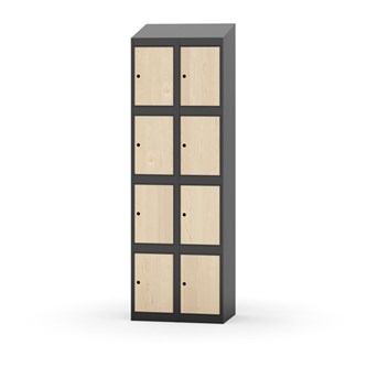 Boxskåp Novis sluttande tak 4:2 B60