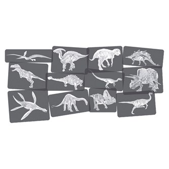 Röntgenbilder Dinosaurier