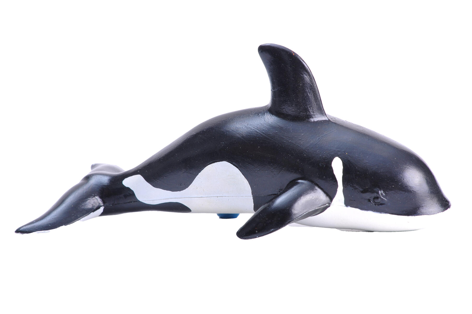 Eng yaxshi porno aktrisalar foto nomi yalangoch katta eshak