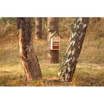 Nectar insektshotell M