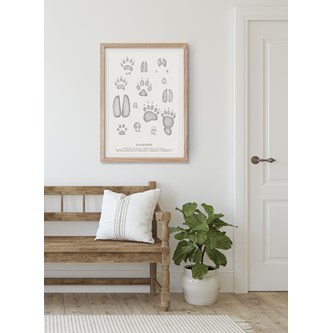Kunskapstavlan® Djurspår, poster 50x70 cm