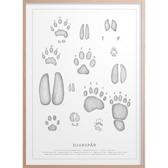 Kunskapstavlan® Djurspår, poster 50x70 cm