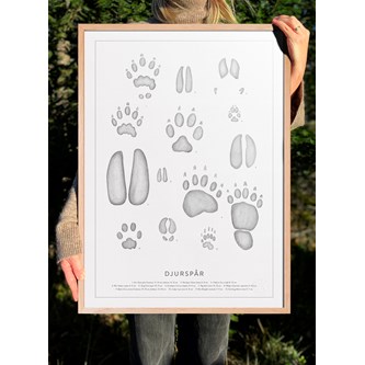 Kunskapstavlan® Djurspår, poster 50x70 cm