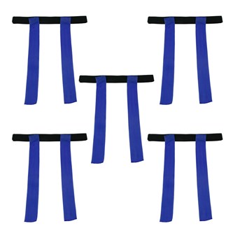 Fånga flaggan blå, 5-pack