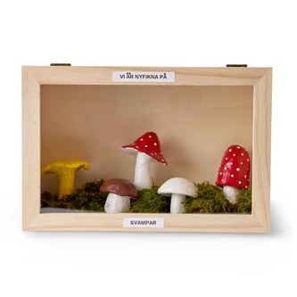Tittskåp i trä 20x20 cm